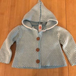 Stem Hooded Sweater